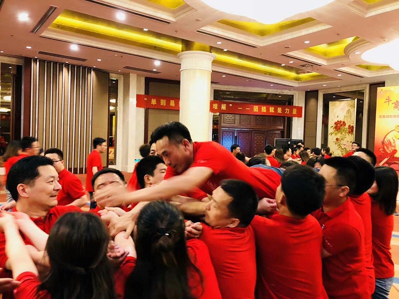 生命之樹，爬人梯