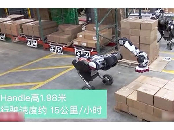 賣了十幾年貨架，天金岡從這幾點教您預防貨架倒塌！